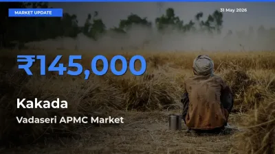 Vadaseri APMC Emerges as Top Mandi for Kakada Prices Today