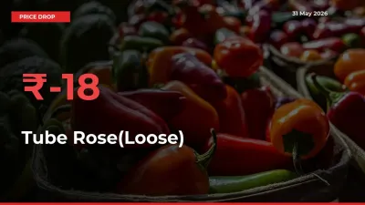 Tube Rose(Loose) Prices Drop 17.63% – May 31 Market Update from Mandis