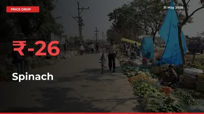 Farmers Alert as Spinach Prices Slide 25.64% in Local Mandis