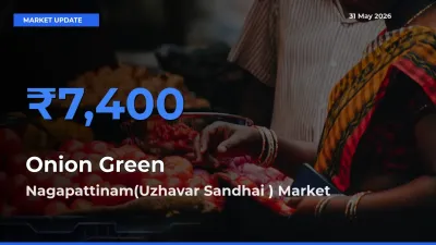 Market Watch: Nagapattinam(Uzhavar Sandhai ) Becomes Top Mandi for Onion Green