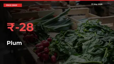 Plum Falls 28.42% at Mandis
