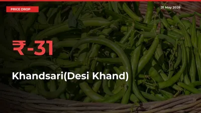 This Mandi Records 31.46% Fall in Khandsari(Desi Khand) Prices