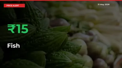 This Mandi Records 15.44% Jump in Fish Prices