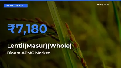 Biaora APMC Emerges as Top Mandi for Lentil(Masur)(Whole) Prices Today