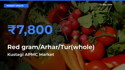 Kustagi APMC Emerges as Top Mandi for Red gram/Arhar/Tur(whole) Prices Today