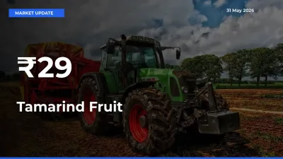 Multi-Mandi Trend Emerges as Tamarind Fruit Prices Shift Across Key Markets