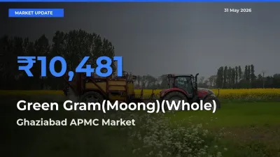 Farmers Prefer Ghaziabad APMC as Green Gram(Moong)(Whole) Hits Highest Rate