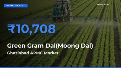 Ghaziabad APMC Emerges as Top Mandi for Green Gram Dal(Moong Dal) Prices Today