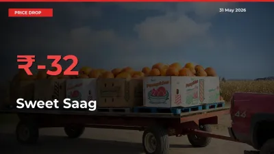 Farmers Alert as Sweet Saag Prices Slide 31.83% in Local Mandis