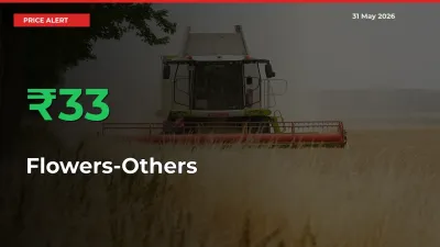 Sudden 32.51% Rally in Flowers-Others Prices Across Mandis