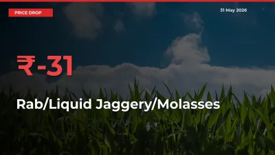 Why Rab/Liquid Jaggery/Molasses Prices Fell 30.94% in a Day at Mandis