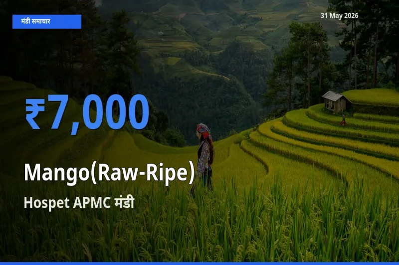 Hospet APMC मंडी में आम (कच्चा-पका) ₹7,000 पर पहुँचा – आज का सर्वोच्च भाव