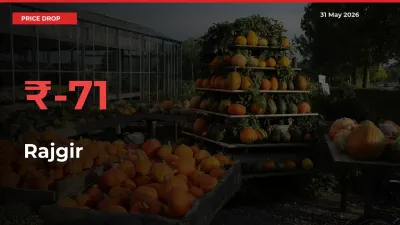 This Mandi Records 71.34% Fall in Rajgir Prices