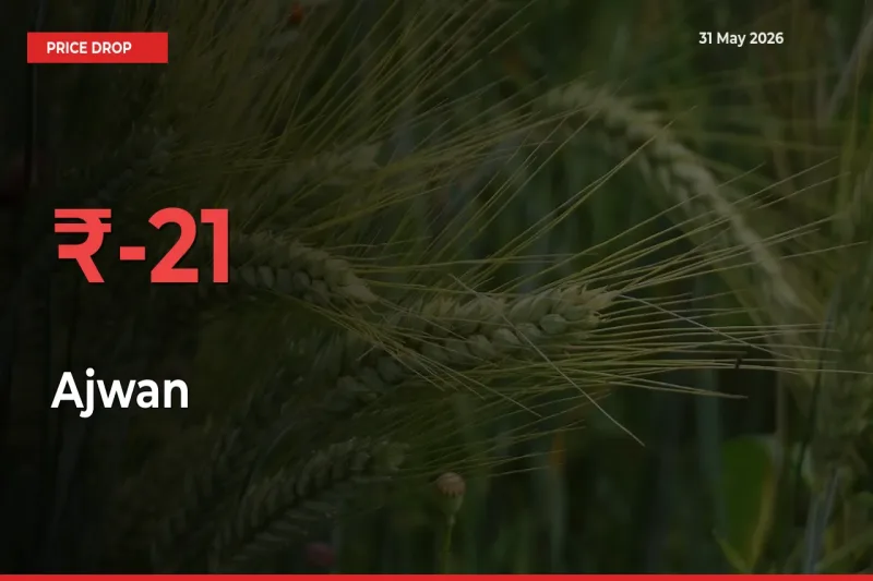 This Mandi Records 20.6% Fall in Ajwan Prices
