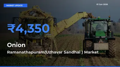 Ramanathapuram(Uzhavar Sandhai ) Emerges as Top Mandi for Onion Prices Today