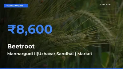 Mannargudi II(Uzhavar Sandhai ) Emerges as Top Mandi for Beetroot Prices Today