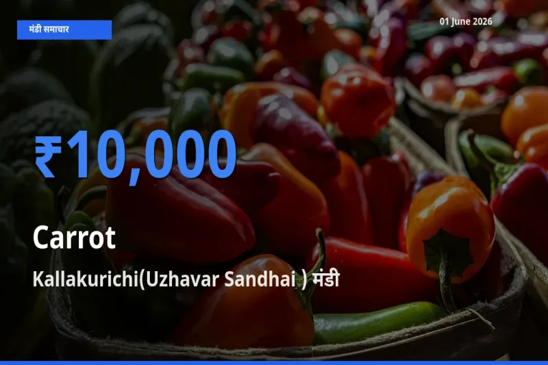 बाज़ार संकेत: Kallakurichi(Uzhavar Sandhai ) बना गाजर के लिए आज की टॉप मंडी