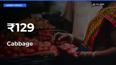 Strong Trend in Cabbage Rates Across Multiple Mandis – What It Means for Traders