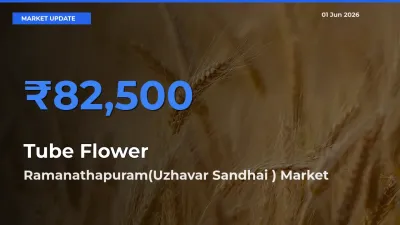 Ramanathapuram(Uzhavar Sandhai ) Offers ₹82,500 – Highest Tube Flower Rate Today