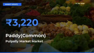 Market Watch: Pulpally Market Becomes Top Mandi for Paddy(Common)