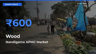 Farmers Prefer Nandigama APMC as Wood Hits Highest Rate
