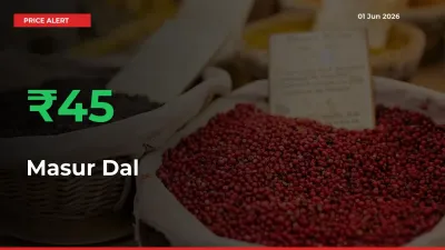 Sharp Jump! Masur Dal Prices Climb 45.14% in 24 Hours at Key Mandis