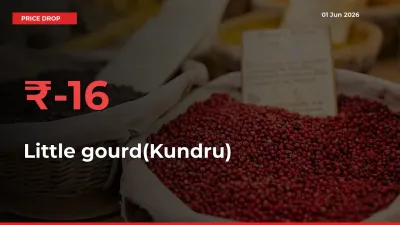 Little gourd(Kundru) Prices Drop 15.78% in 24 Hours at Major Mandis