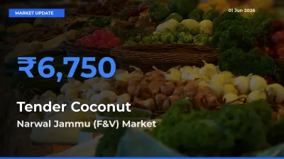 Narwal Jammu (F&V) Tops Tender Coconut Mandi Rates Today