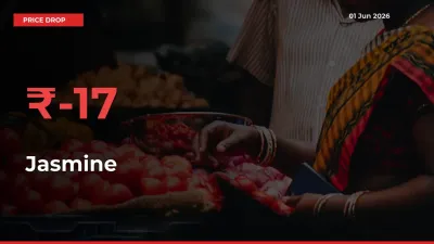 This Mandi Records 16.65% Fall in Jasmine Prices