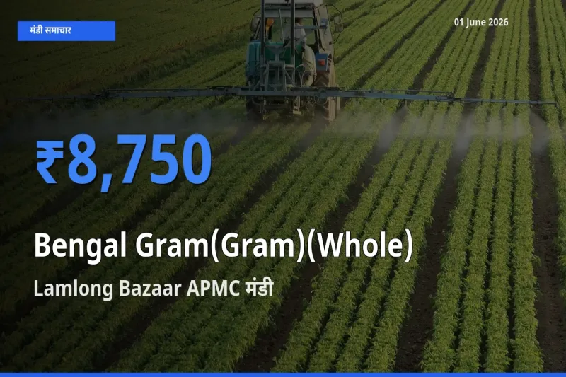 Lamlong Bazaar APMC में चना (साबुत) का आज सबसे ऊँचा भाव