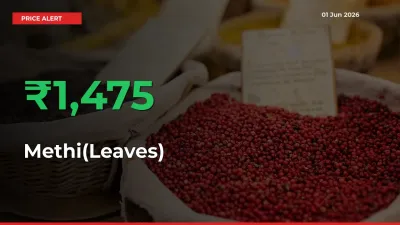 Sharp Jump! Methi(Leaves) Prices Climb 1475.27% in 24 Hours at Key Mandis