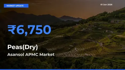 Asansol APMC Tops Peas(Dry) Mandi Rates Today