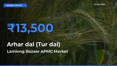 Lamlong Bazaar APMC Tops Arhar dal (Tur dal) Rates – June 01 Market Update