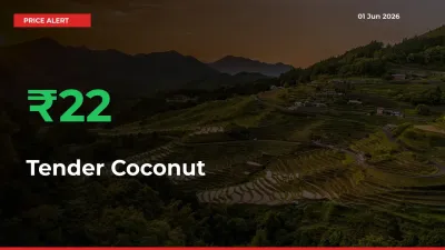 Tender Coconut Mandi Rate Today: Prices Jump 22.07% at Market
