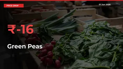 Green Peas Mandi Rate Today: Prices Fall 16.09% at Market