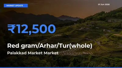 Palakkad Market Tops Red gram/Arhar/Tur(whole) Rates – June 01 Market Update