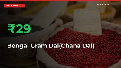 Bengal Gram Dal(Chana Dal) Mandi Rate Today: Prices Jump 29.34% at Market