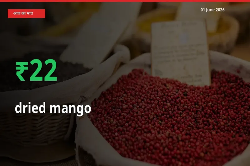 सूखा आम के दाम प्रमुख मंडी में 22.21% बढ़े, 24 घंटे में बड़ा बदलाव