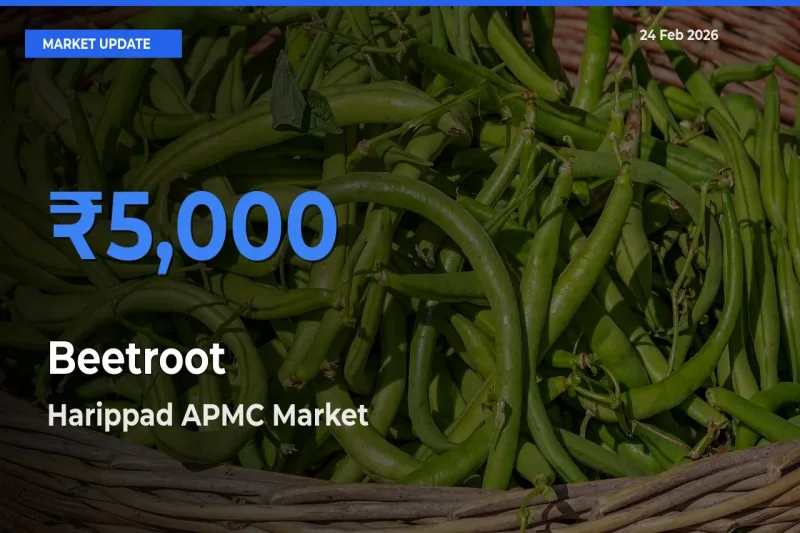 Harippad APMC Emerges as Top Mandi for Beetroot Prices Today