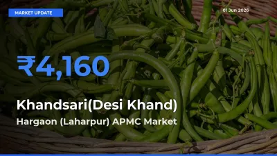 Hargaon (Laharpur) APMC Tops Khandsari(Desi Khand) Mandi Rates Today