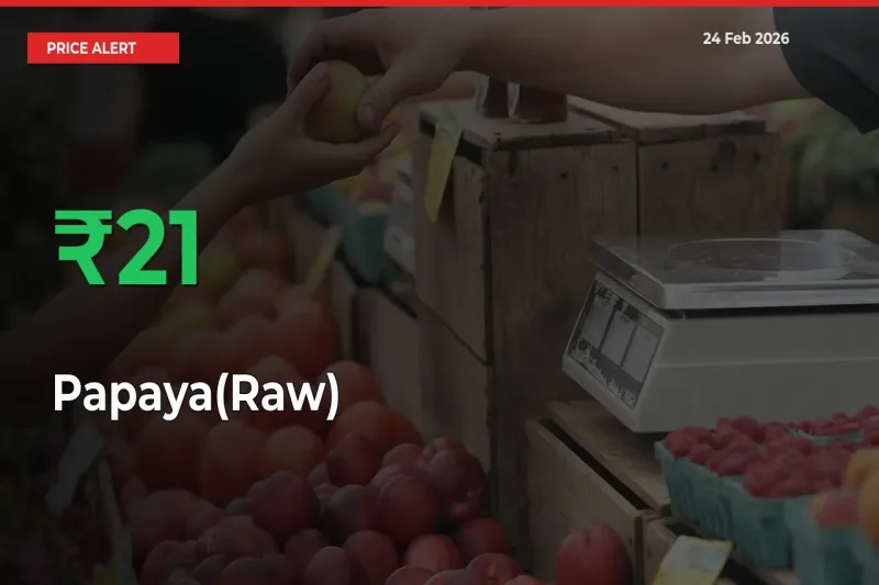 Big Rally! Papaya(Raw) Climbs 20.64% in 24 Hours at Top Mandis