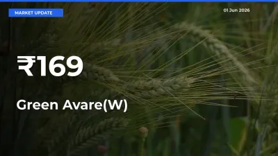 Green Avare(W) Trend Strengthens Across Major Mandis
