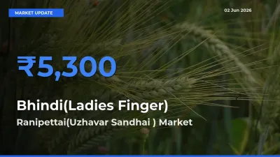 Ranipettai(Uzhavar Sandhai ) Tops Bhindi(Ladies Finger) Rates – June 02 Market Update
