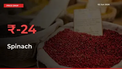 Sudden Shock! Spinach Drops 23.95% in 24 Hours at Top Mandis