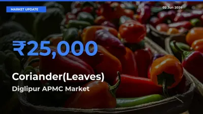 Diglipur APMC Leads as Top Mandi for Coriander(Leaves) Prices