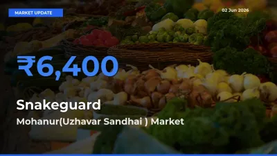 Snakeguard Mandi Rate Today: Mohanur(Uzhavar Sandhai ) Tops the List