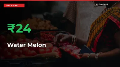 Water Melon Rises 24.36% at Mandis