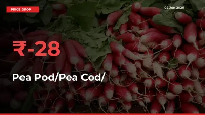 Pea Pod/Pea Cod/हरी मटर Mandi Rate Today: Prices Fall 27.52% at Market