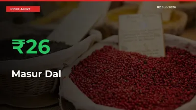 Why Masur Dal Prices Rose 25.64% in a Day at Mandis