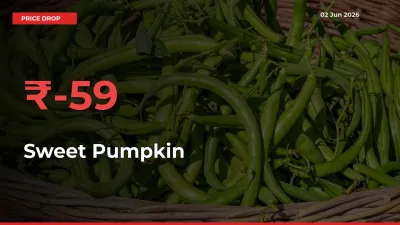 58.62% Drop in Sweet Pumpkin Prices – Mandi Sees Sudden Fall
